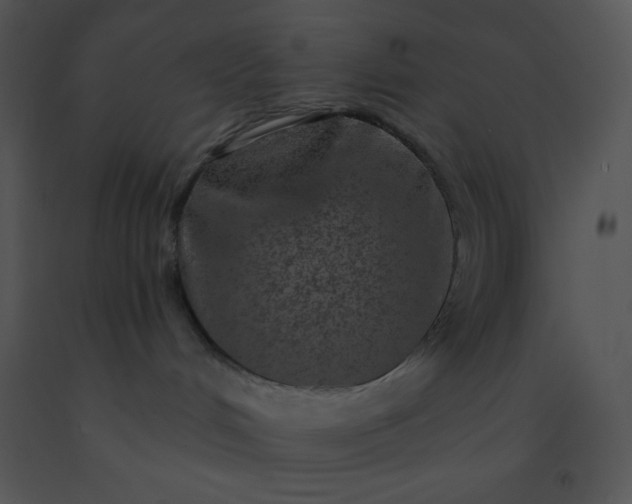 X0000091560048200708311424