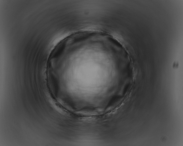 X0000091560050200708311423