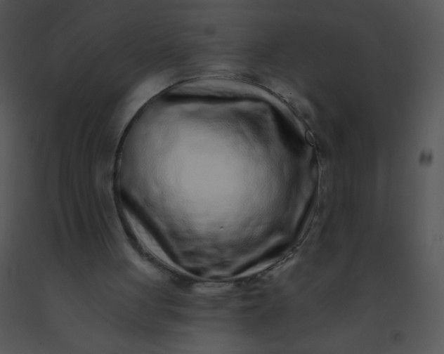 X0000091560051200708311423