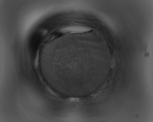 X0000091560052200708311423