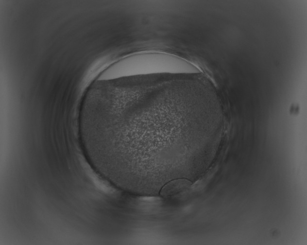 X0000091560053200708311423