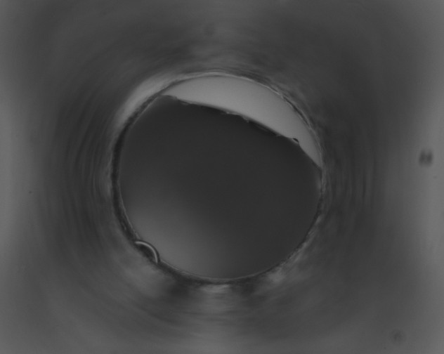 X0000091560054200708311423