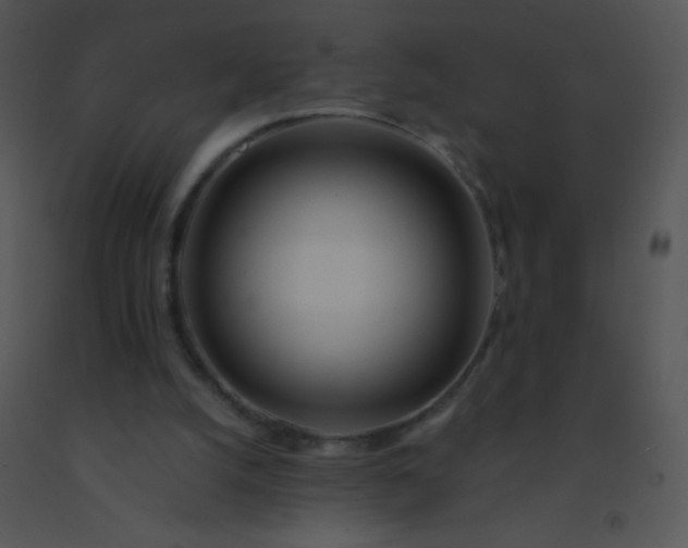 X0000091560056200708311423