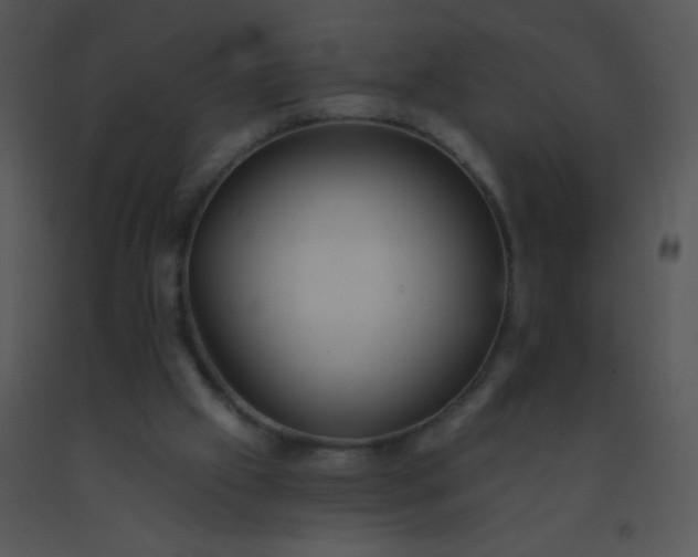 X0000091560057200708311423