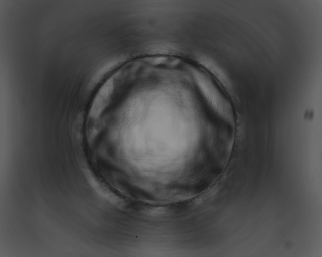 X0000091560058200708311423