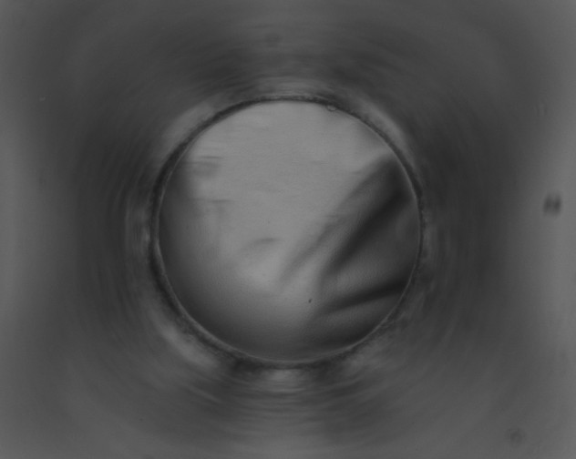 X0000091560059200708311423