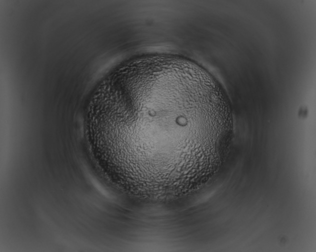 X0000091560061200708311423