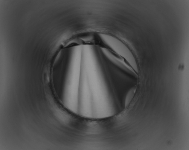 X0000091560062200708311423