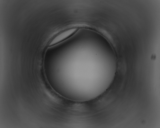 X0000091560063200708311423