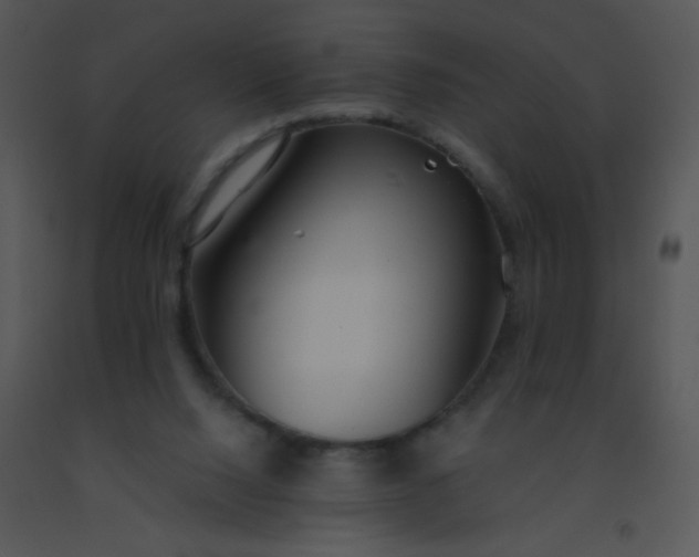 X0000091560064200708311423