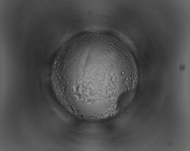 X0000091560065200708311423