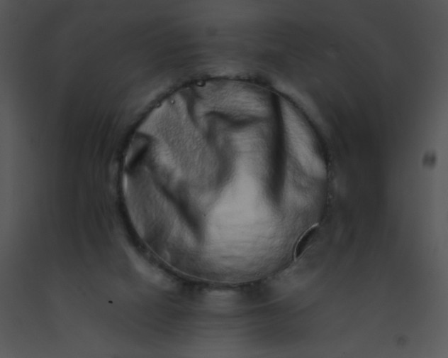 X0000091560066200708311423