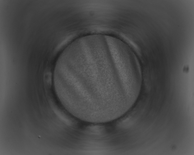 X0000091560067200708311423