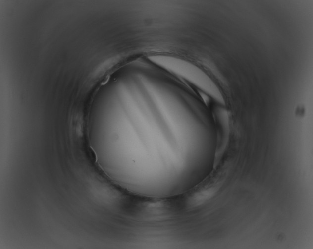 X0000091560068200708311423