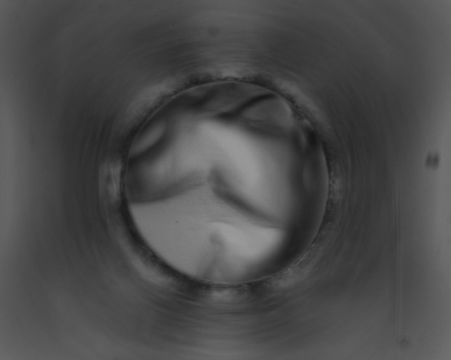 X0000091560070200708311423