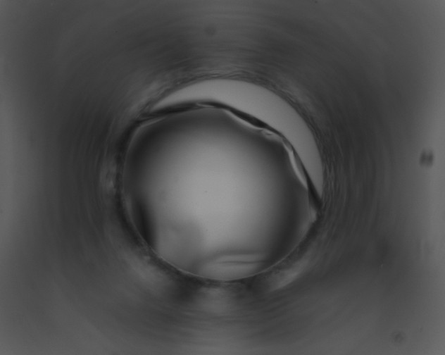 X0000091560072200708311423