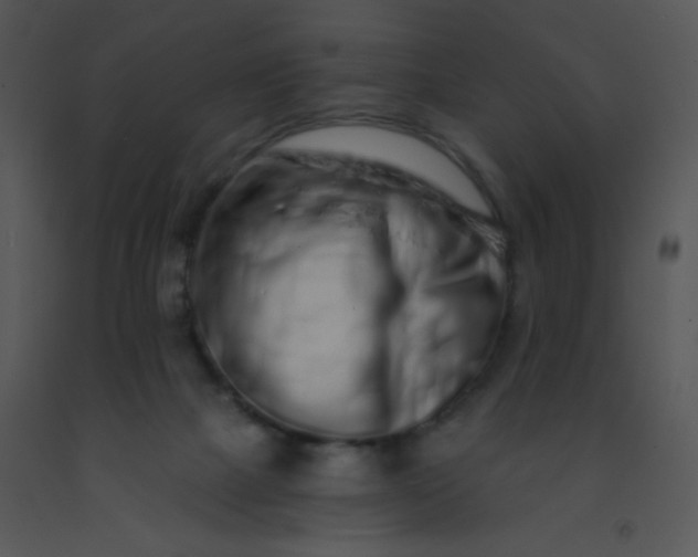 X0000091560073200708311424