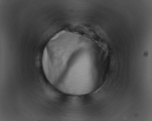 X0000091560074200708311424