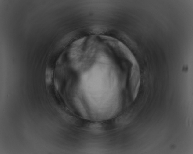 X0000091560075200708311424