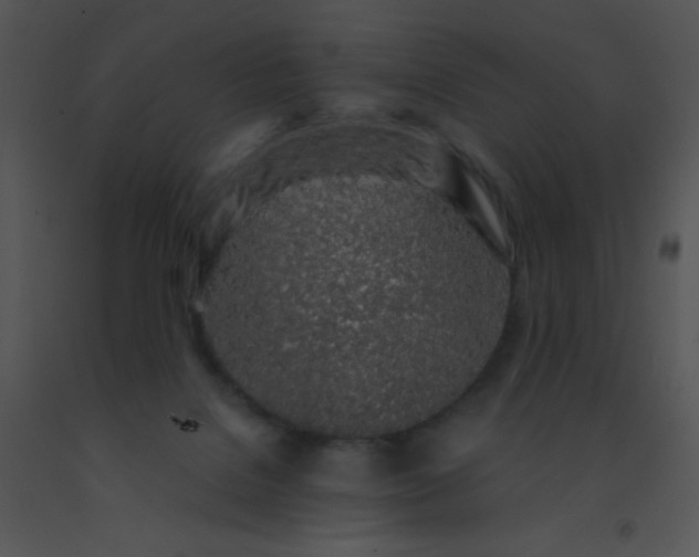 X0000091560076200708311424