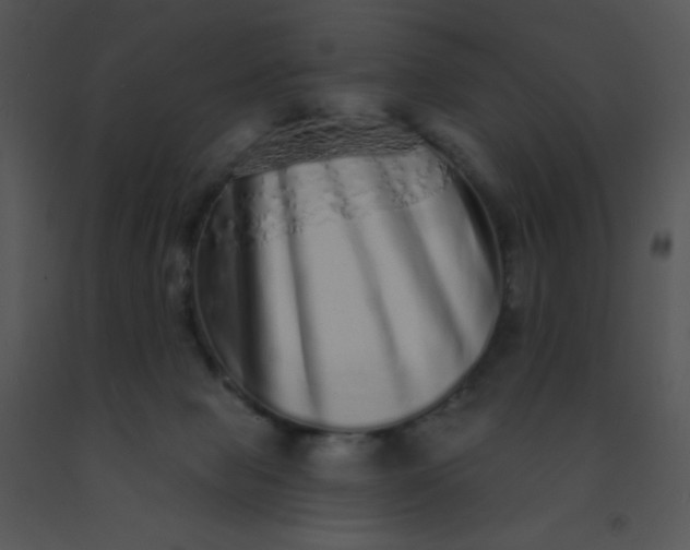 X0000091560077200708311424