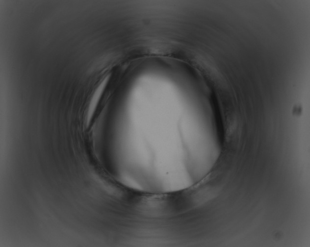 X0000091560078200708311424