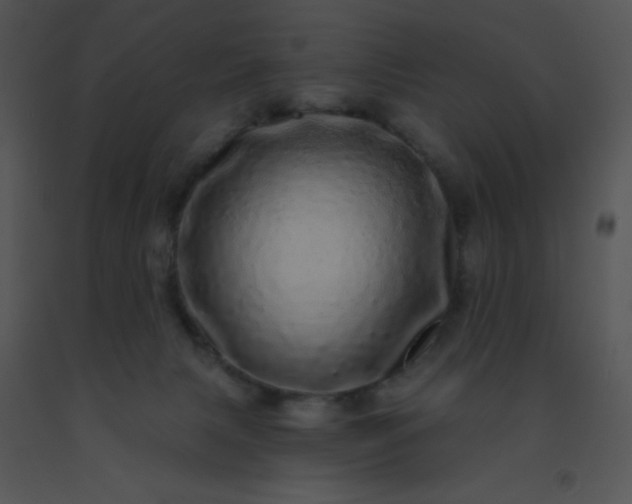 X0000091560079200708311424