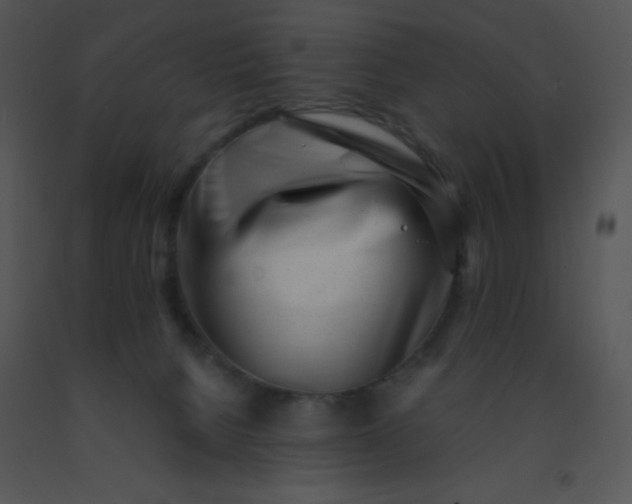 X0000091560080200708311424