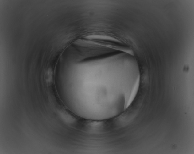 X0000091560081200708311424