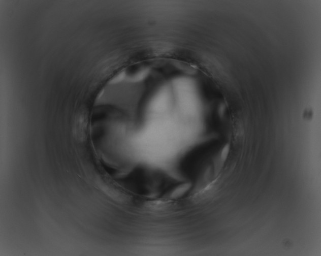 X0000091560082200708311424