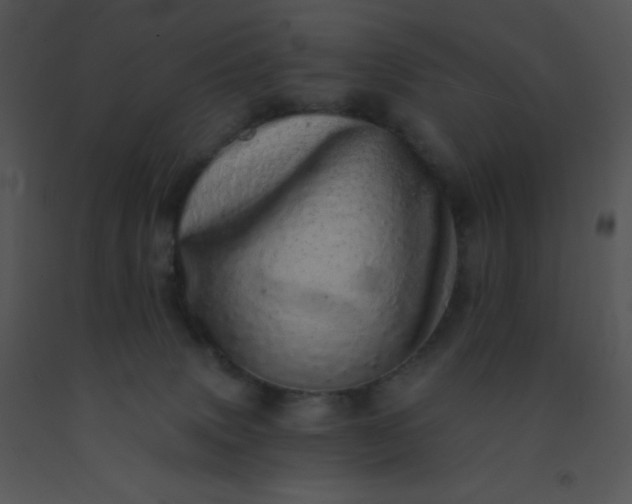 X0000091560083200708311424