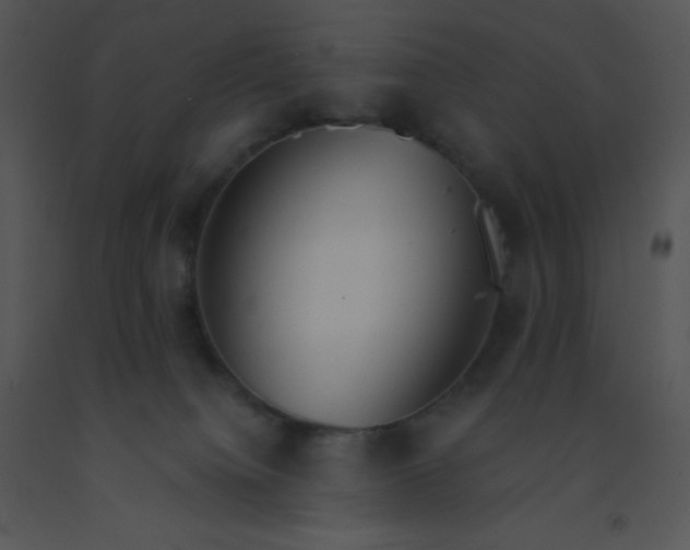 X0000091560084200708311424