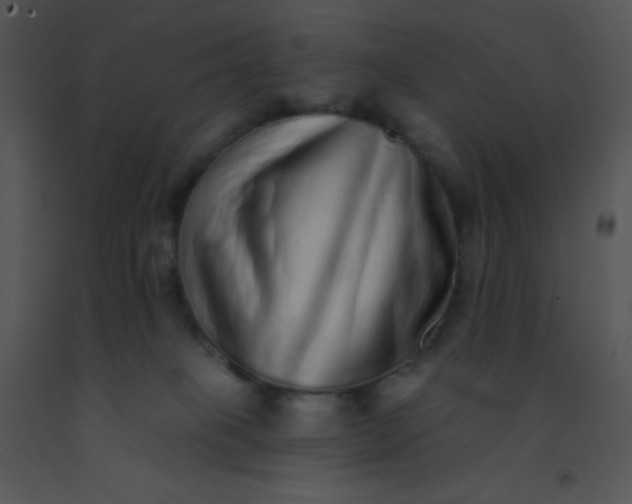 X0000091560085200708311424