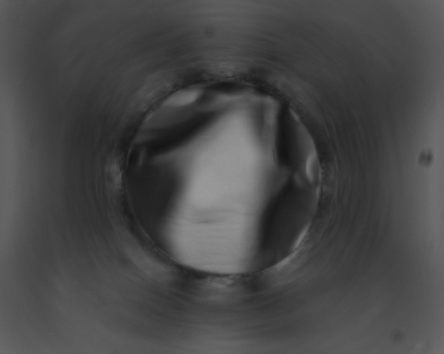 X0000091560086200708311424