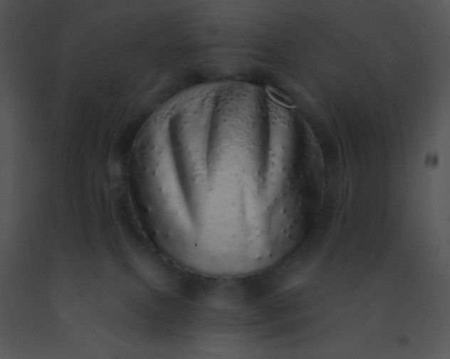 X0000091560087200708311424