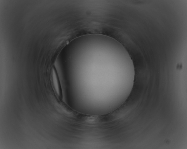 X0000091560088200708311424