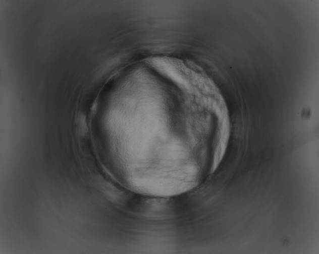 X0000091560089200708311424