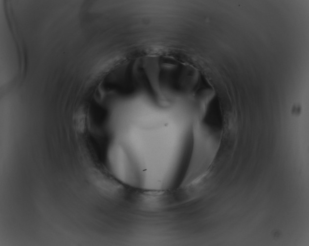 X0000091560090200708311424