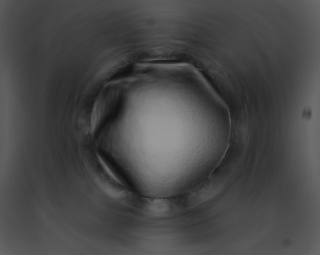 X0000091560091200708311424