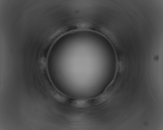 X0000091560093200708311424