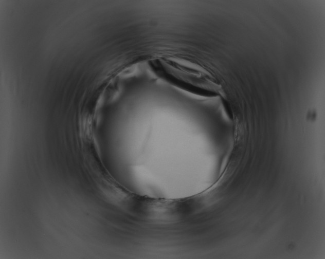 X0000091560094200708311424