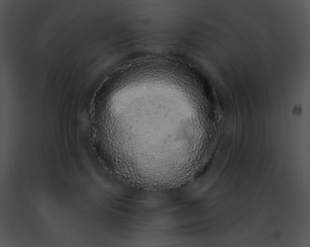 X0000091560095200708311424