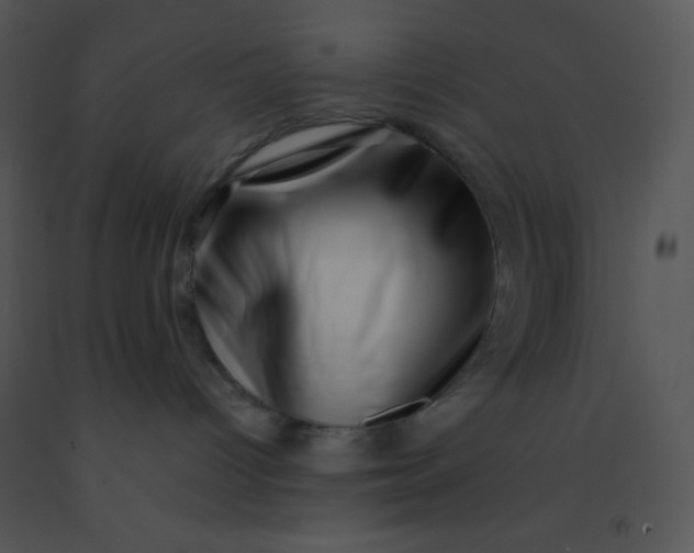 X0000091560096200708311424