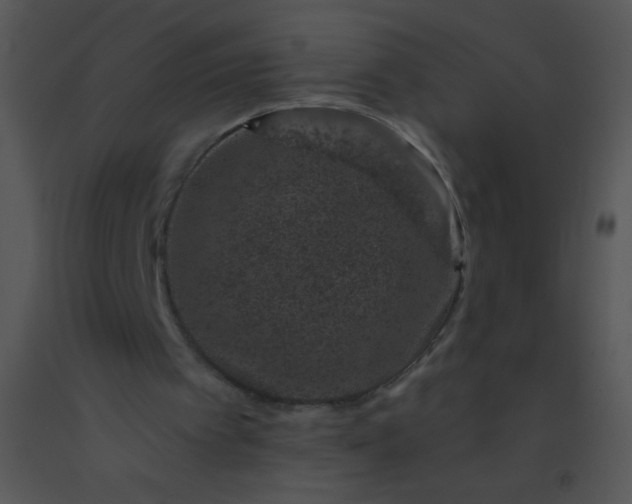 X0000091560097200708311423