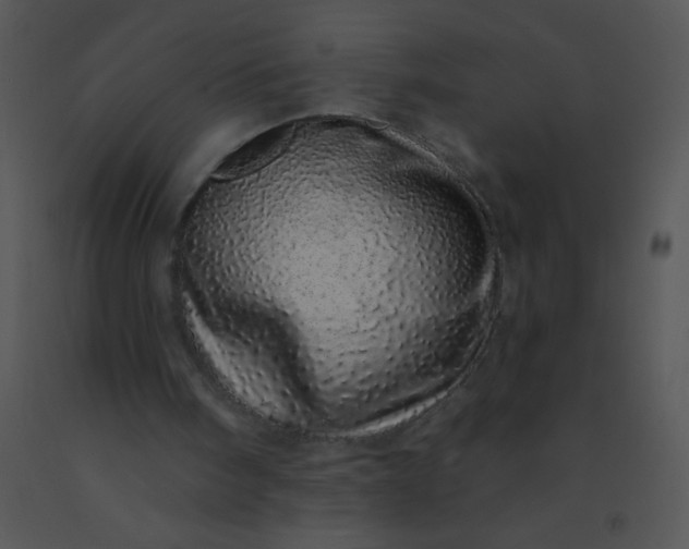 X0000091560098200708311423