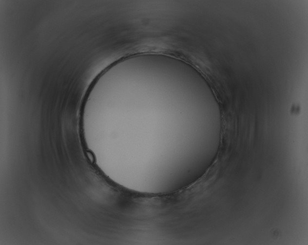 X0000091560100200708311423