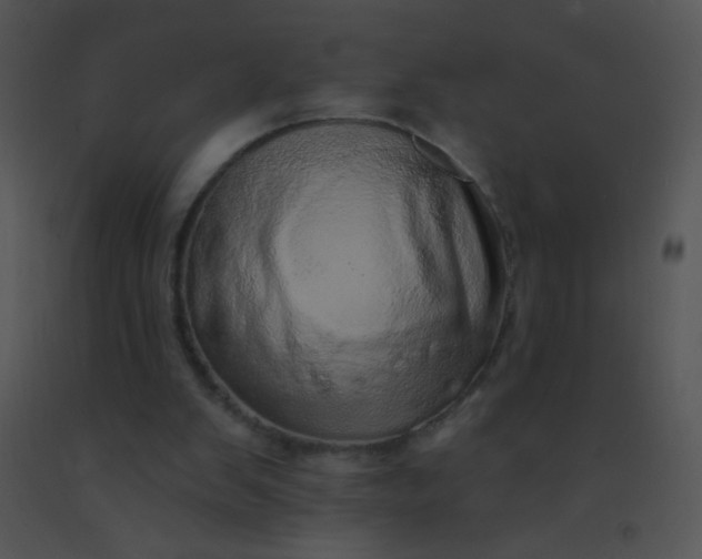 X0000091560103200708311423