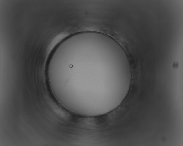 X0000091560104200708311423