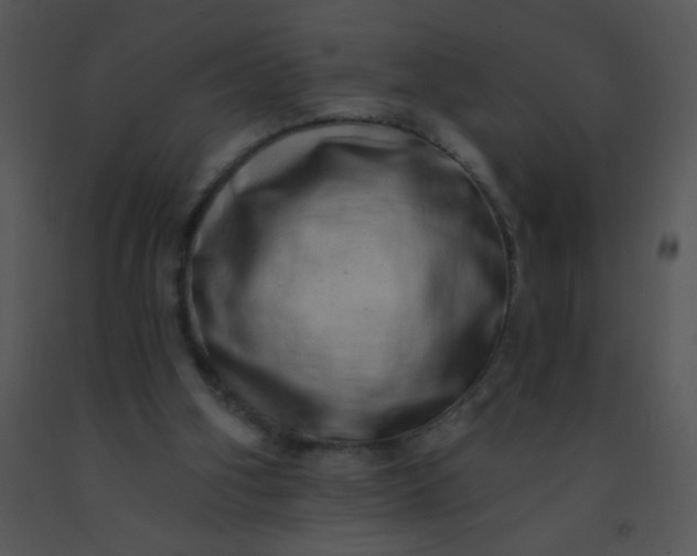 X0000091560106200708311423