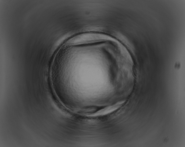 X0000091560107200708311423